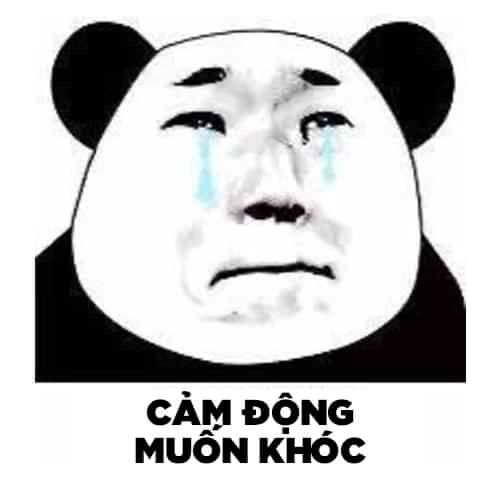 Tổng hợp 100+ Meme siêu hài hước cho mọi tâm trạng