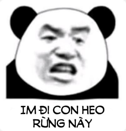 Tổng hợp 100+ Meme siêu hài hước cho mọi tâm trạng