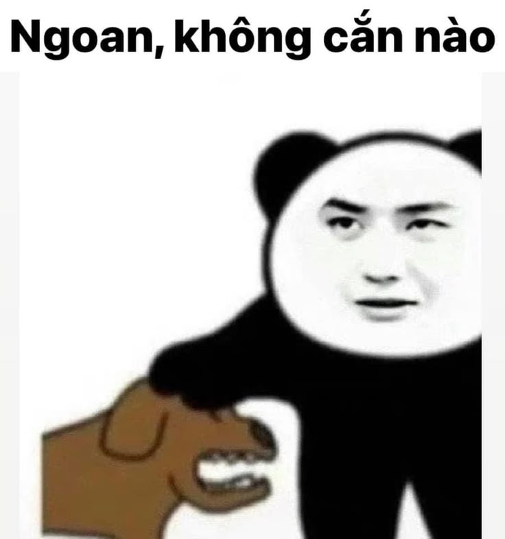 Tổng hợp 100+ Meme siêu hài hước cho mọi tâm trạng