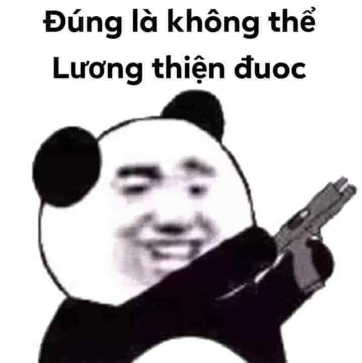 Tổng hợp 100+ Meme siêu hài hước cho mọi tâm trạng