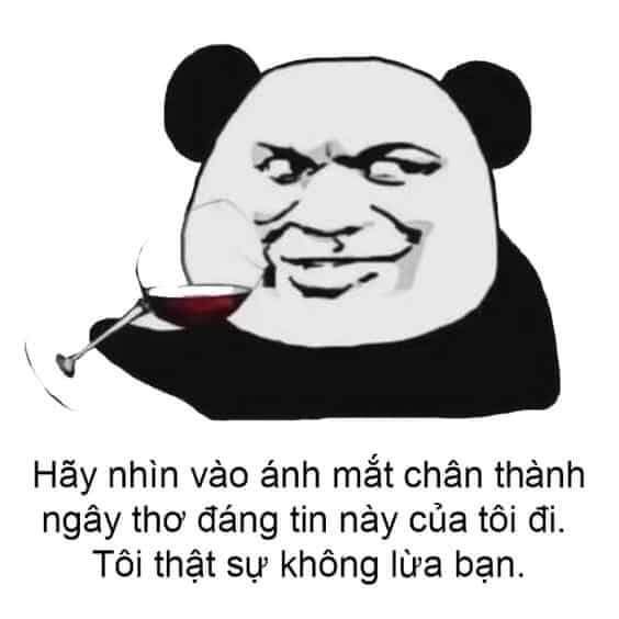 Tổng hợp 100+ Meme siêu hài hước cho mọi tâm trạng